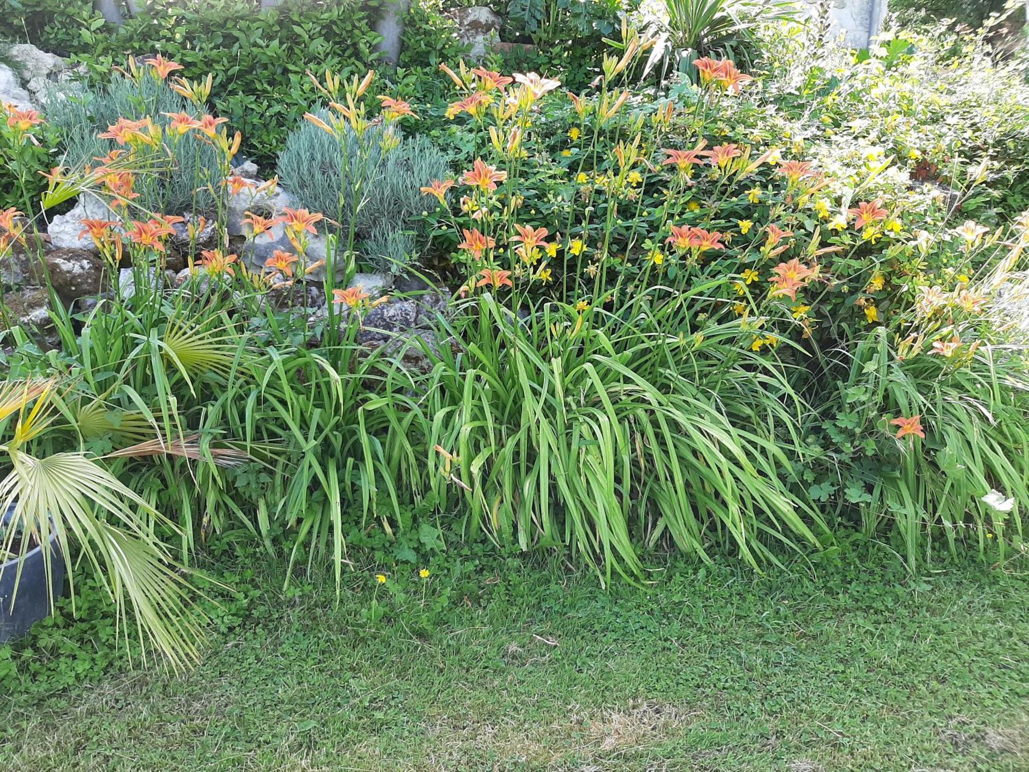 Maison La Thebaide Castera-Lectourois ภายนอก รูปภาพ